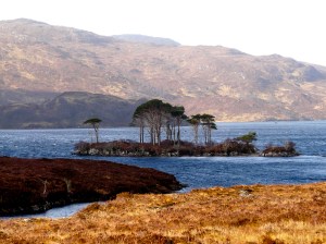 London and Assynt 2010 117