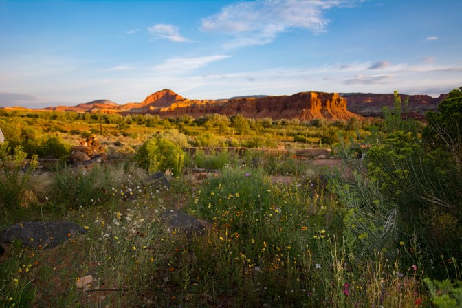 airbnb-torrey-heir-bobs-garden