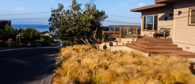 cambria-airbnb-near-fiscalini-ranch