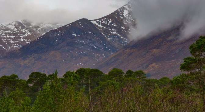 glen-affric-3