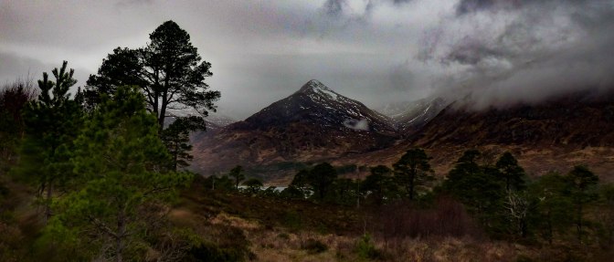 glen-affric-4