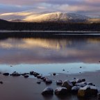 Walking with Reindeer in Cairngorm