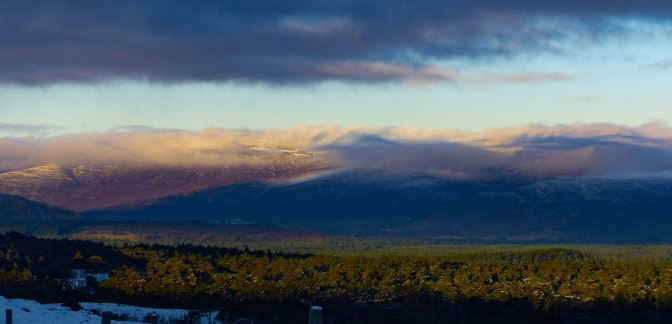 view-on-the-return-2