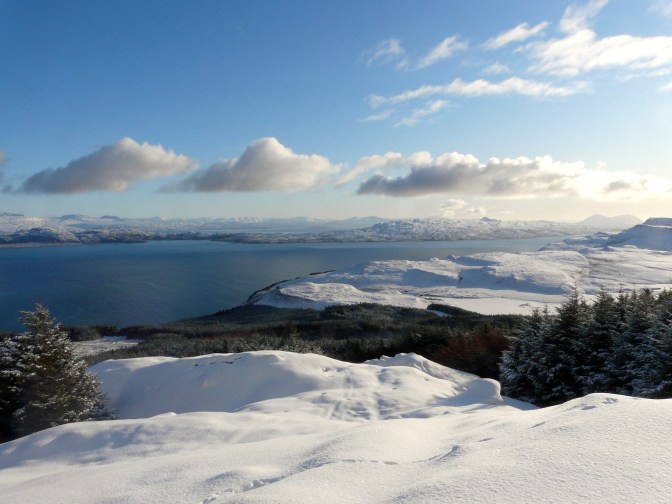 AutumnWinter 2009 661