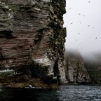 SHETLAND IN 4 DAYS(Day 4: Eshaness Cliff Walk and an Amazing Boat Trip to Noss)