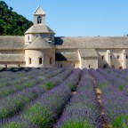 LAVENDER FIELDS AND THE ANCIENT VILLAGES OF THE LUBERON